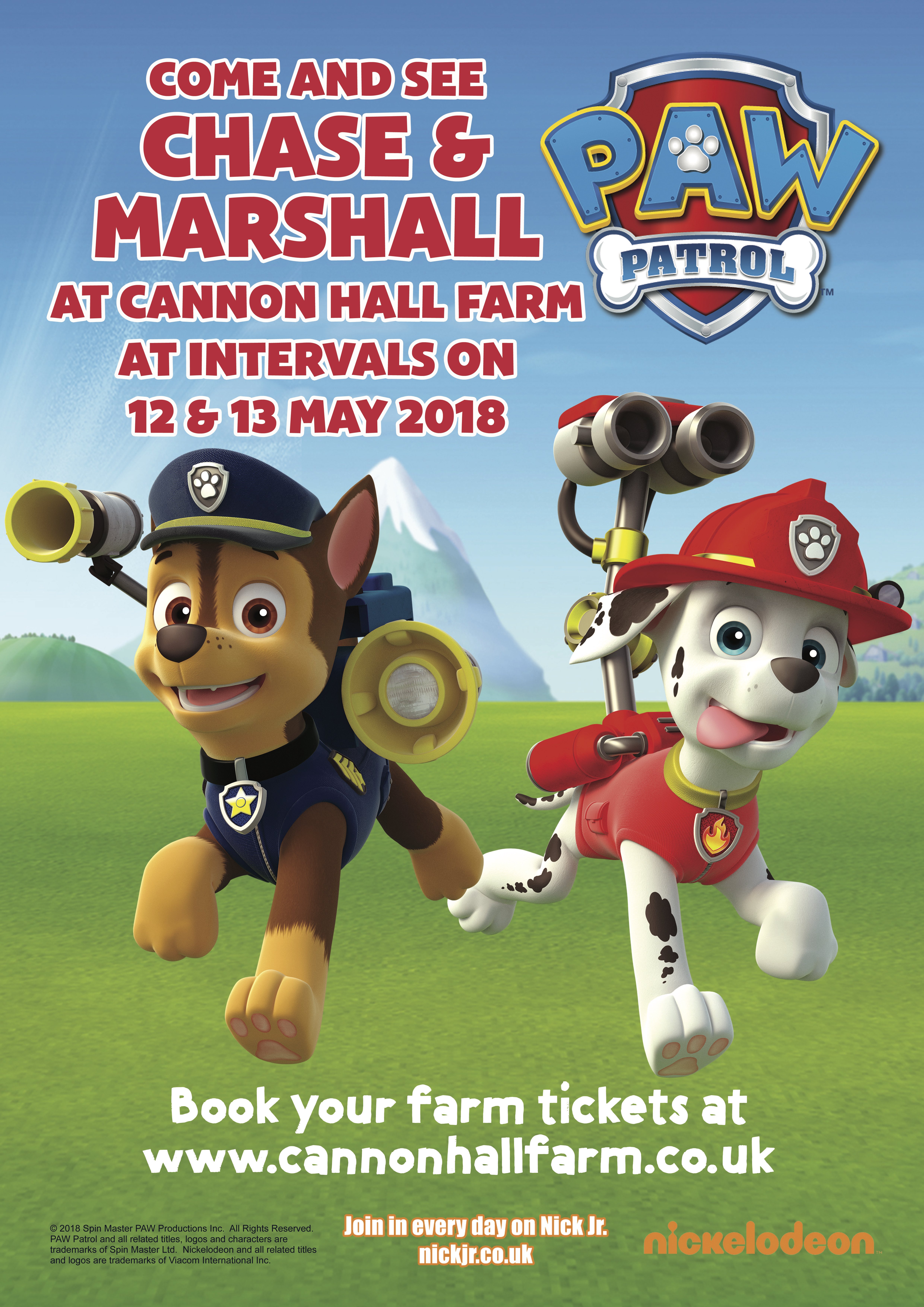 go to paw patrol