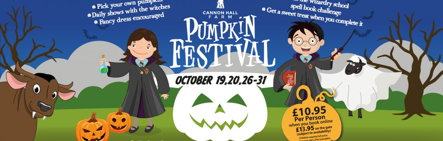 PUMPKIN FESTIVAL AND WIZARDRY SCHOOL