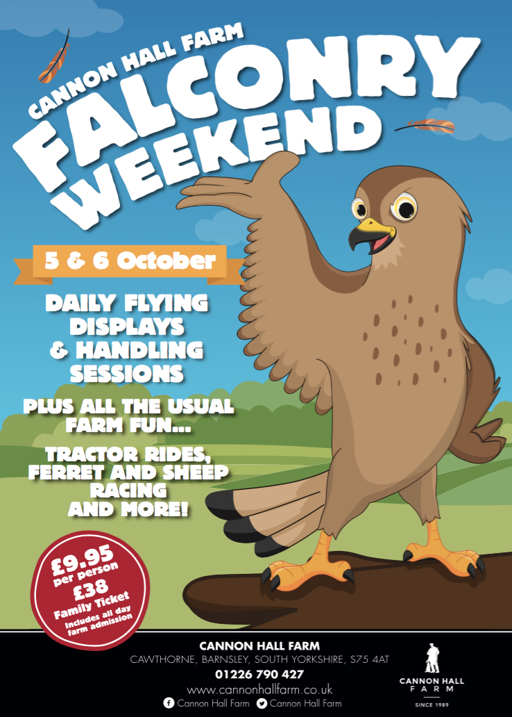 Falconry October 2019