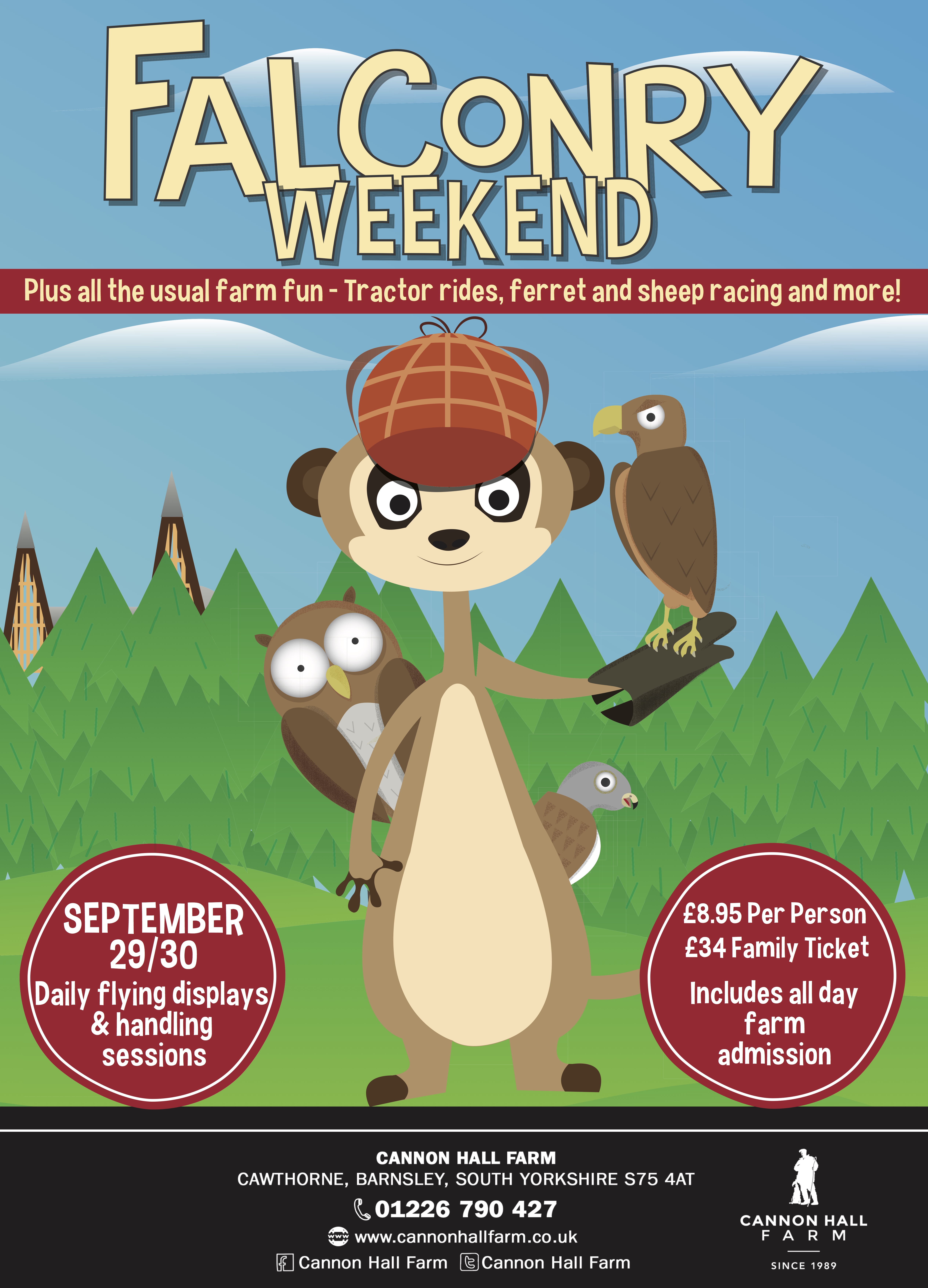 Falconry Weekend Web