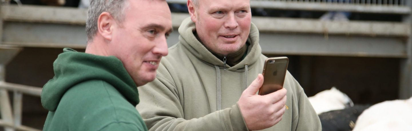 Farmer brothers Robert and David Nicholson at Cannon Hall Farm