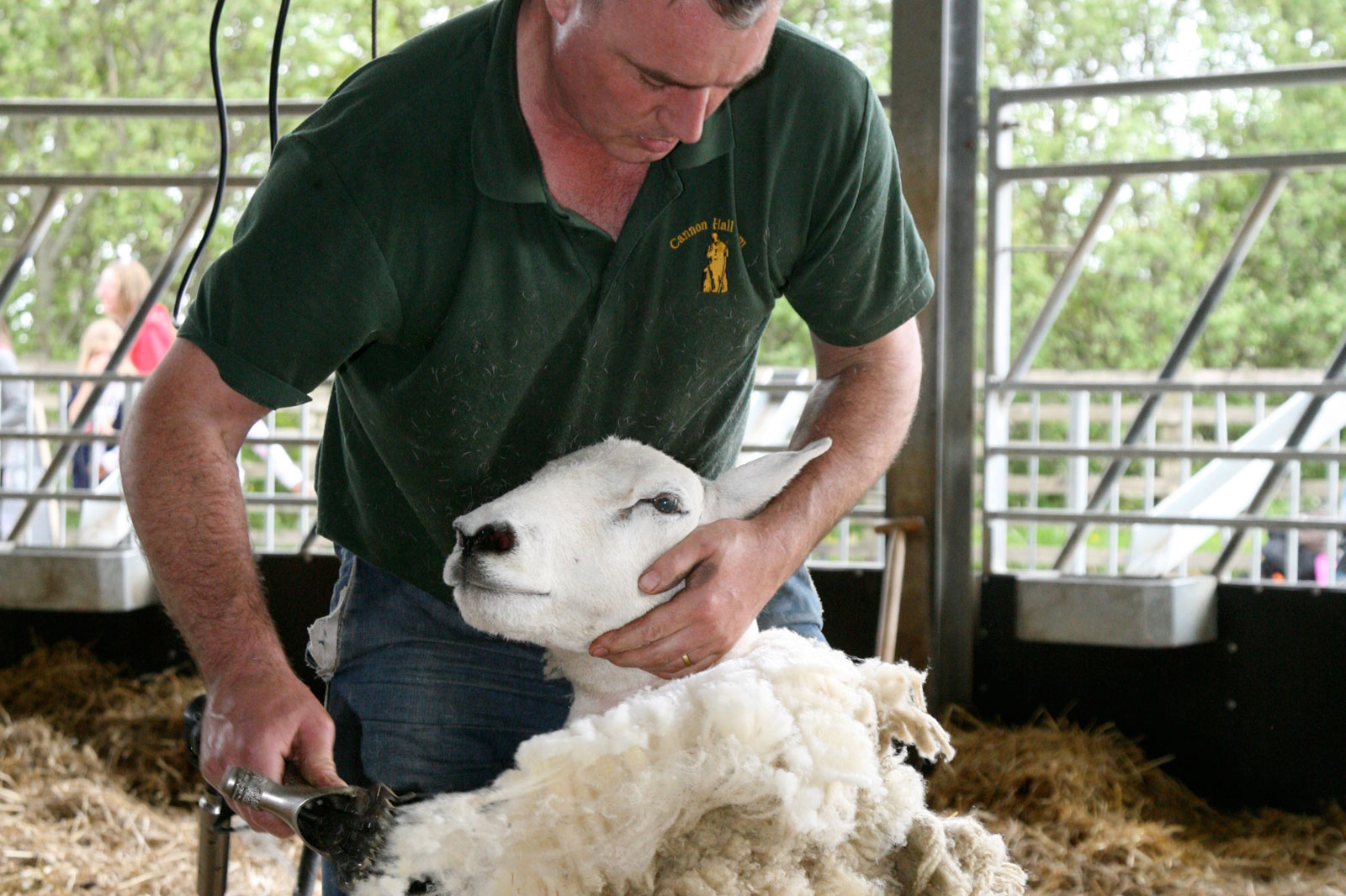 Shearing- Dave High-Def