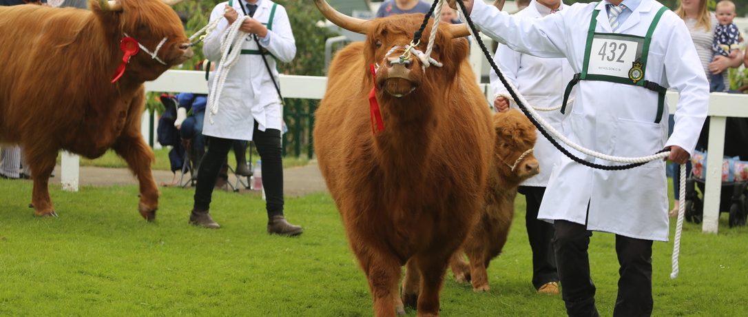 Ted at The Penistone Show