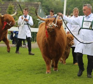 Ted at The Penistone Show