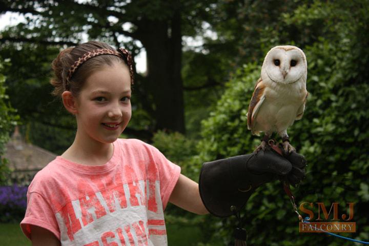 birthday-party-smj-falconry-4