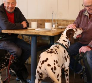 The Lucky Pup Dog Friendly Cafe