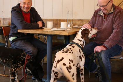 The Lucky Pup Dog Friendly Cafe