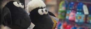 Toy and Gift Shop