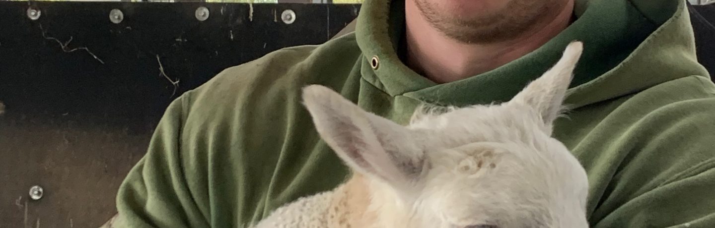 Farmer Tom and Lamb