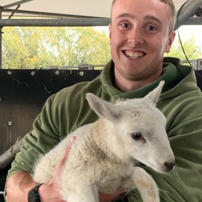 Farmer Tom and Lamb