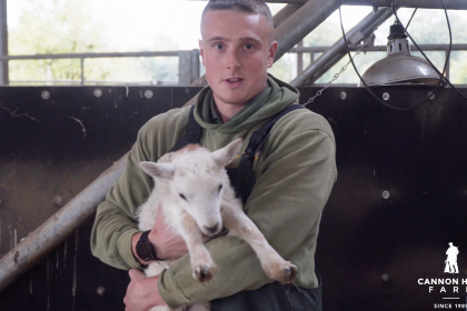 Farmer Tom and the Lamb