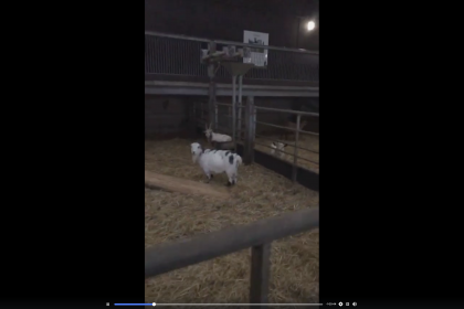 Farmer Robert live broadcast