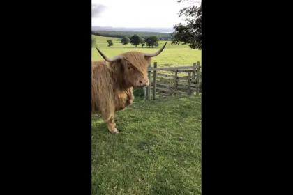Farmer Robert