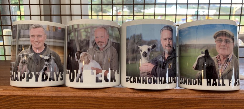 mugs in gift shop