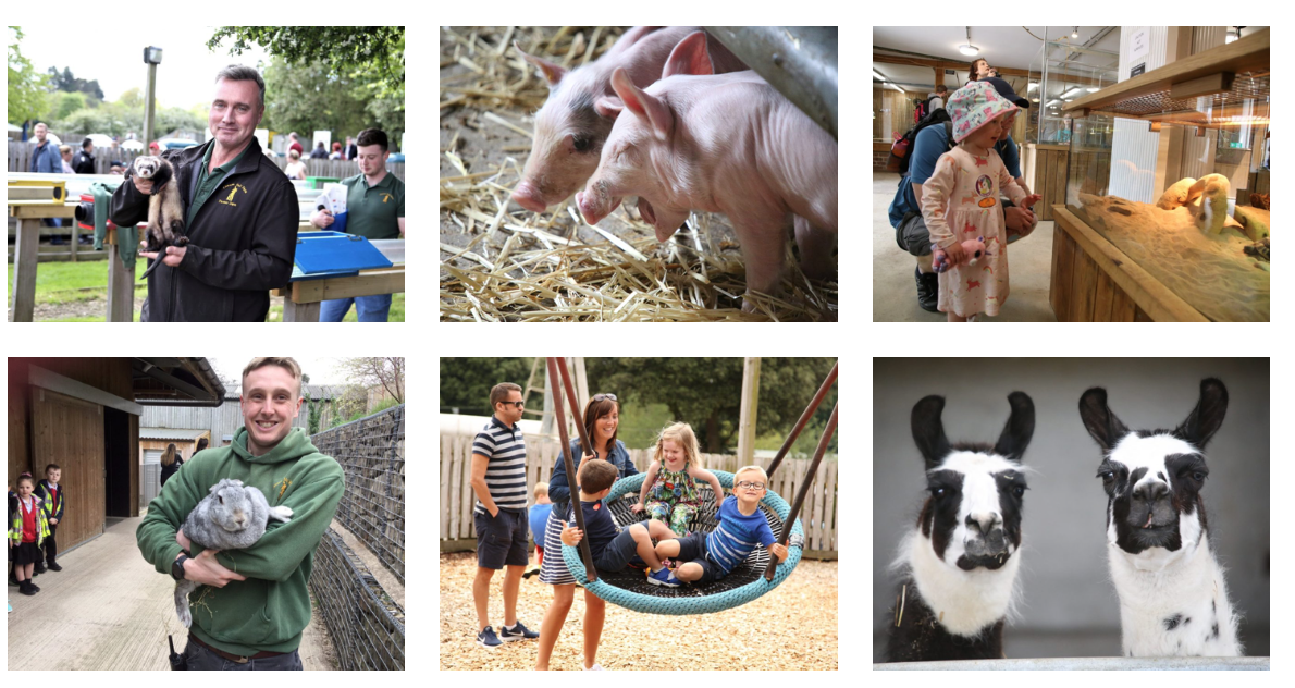 Admission Prices Cannon Hall Farm