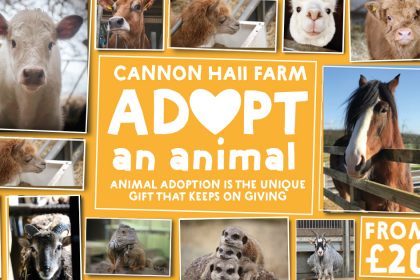 Cannon Hall Farm - Adopt an animal - animal adoption os the unique gift that keeps on giving