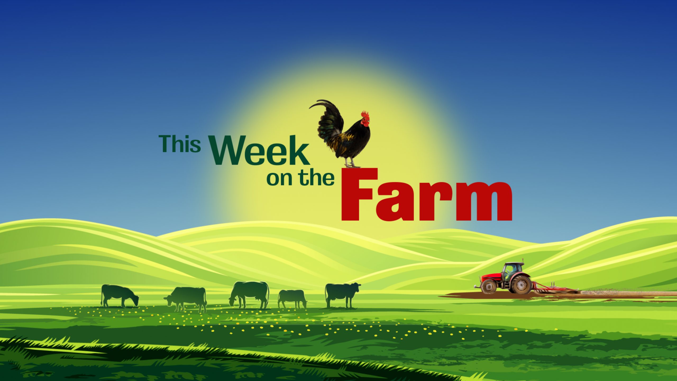 This Week on The Farm Channel 5 Cannon Hall Farm