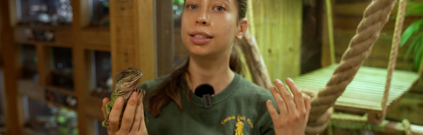 Photo of Kate in the reptile house at Cannon Hall Farm