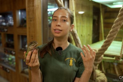 Photo of Kate in the reptile house at Cannon Hall Farm