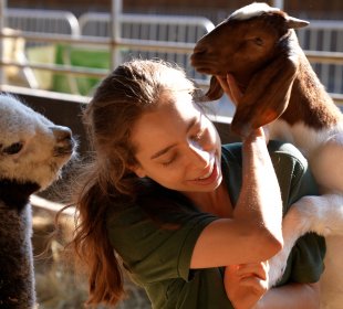 Photo of Kate inside a pen with Rob the alpaca and Annie the goat