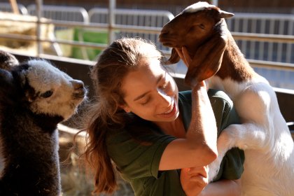 Photo of Kate inside a pen with Rob the alpaca and Annie the goat