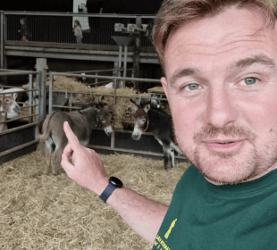 Photo of Dale in the donkey pen at Cannon Hall farm