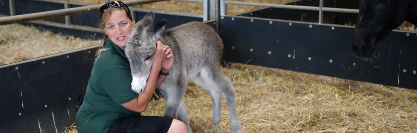 Photo of Ruth Burgess with baby donkey Shirley
