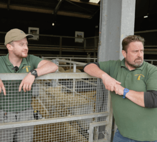 Photo of farmer Richard Nicholson in front of a sheep pen.