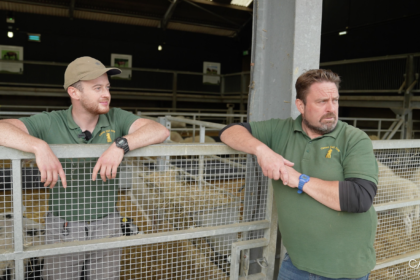 Photo of farmer Richard Nicholson in front of a sheep pen.