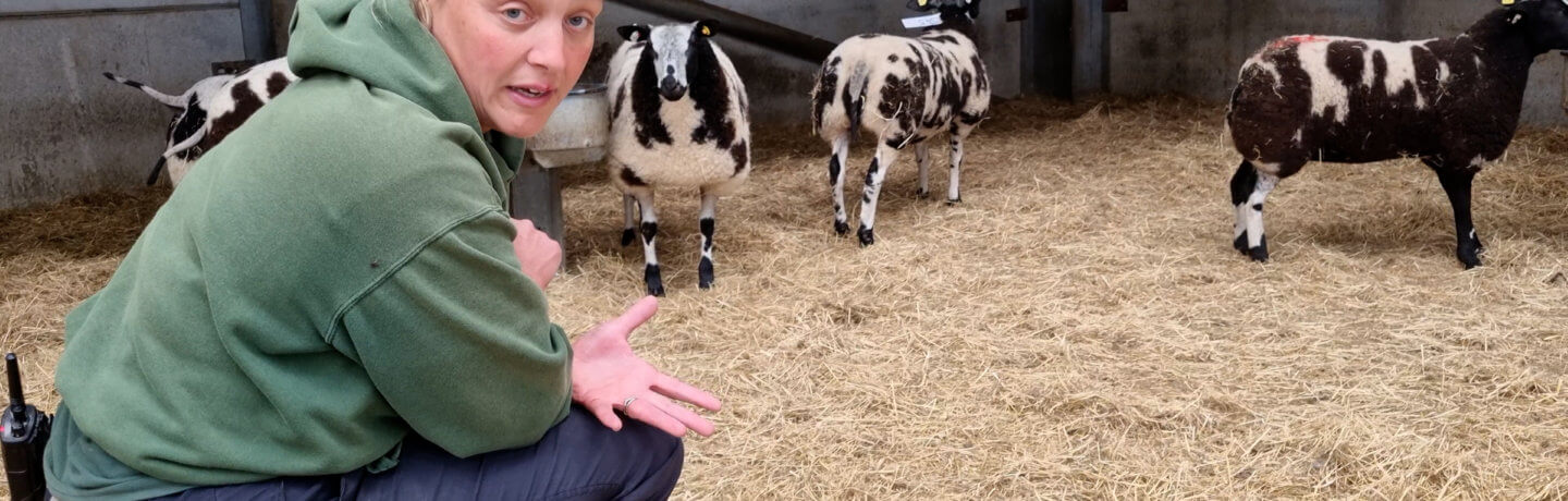 Photo of Ruth Burgess with sheep in a pen