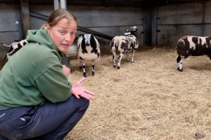 Photo of Ruth Burgess with sheep in a pen