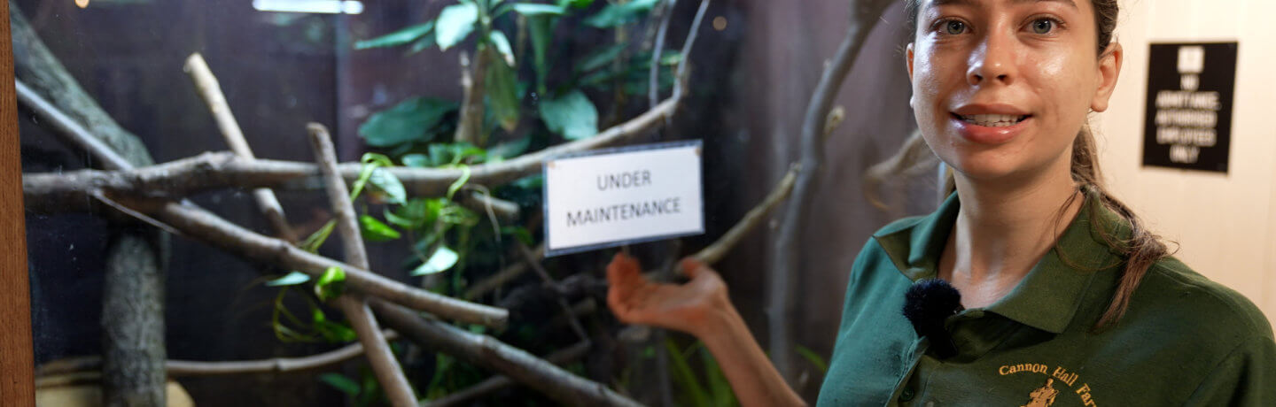 Photo of Kate at the reptile house at Cannon Hall Farm