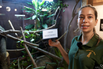 Photo of Kate at the reptile house at Cannon Hall Farm