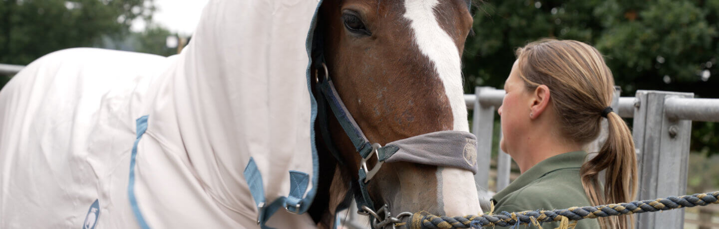 Photo of Blossom the horse wearing a coat and Ruth Burgess