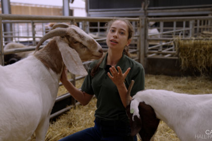 Photo of Kate inside the goat pen with two goats.