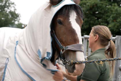 Photo of Blossom the horse wearing a coat and Ruth Burgess