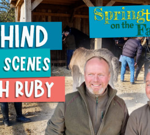 Behind the scenes with Ruby - Springtime on the farm