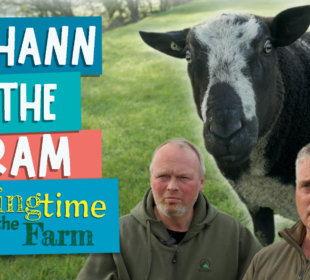 Johanne ram - Springtime on the farm