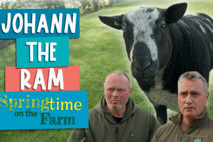 Johanne ram - Springtime on the farm