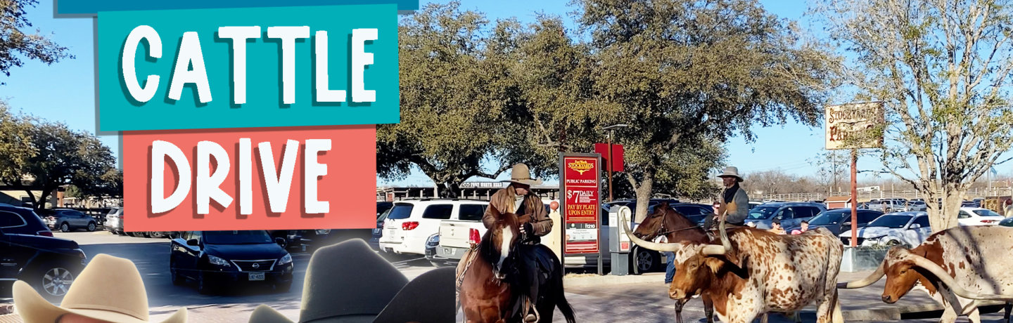 A Texas cattle drive