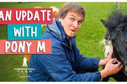 An update with Pony M