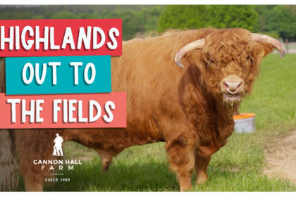 Highlands out to the fields