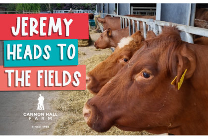 Jeremy heads got the fields