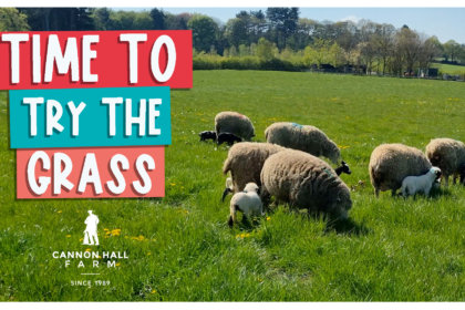 Time to try the grass