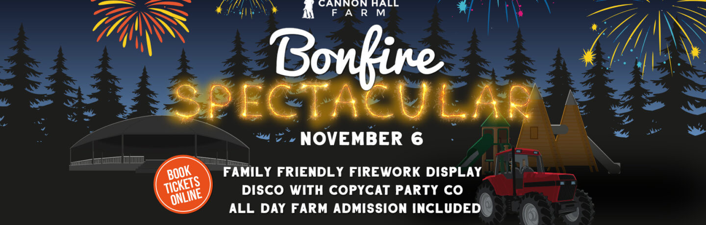 Bonfire Spectacular