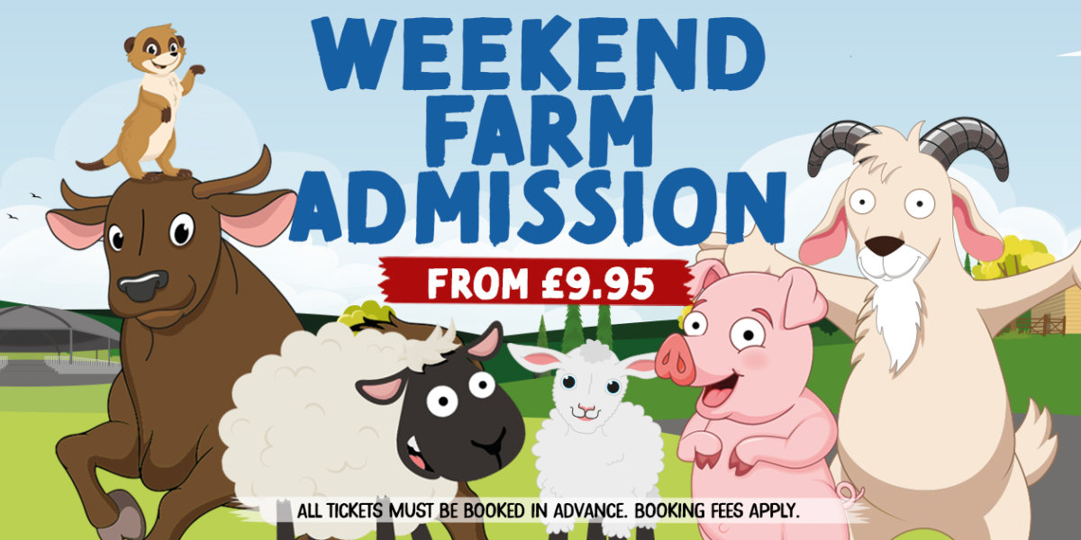 Cannon Hall Farm The Perfect Family Day Out in Yorkshire