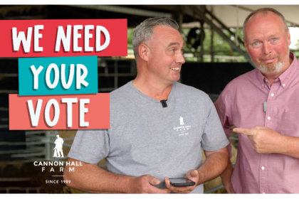 We need your vote
