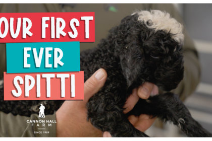 Our first ever spittti