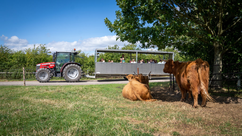 Tractor ride