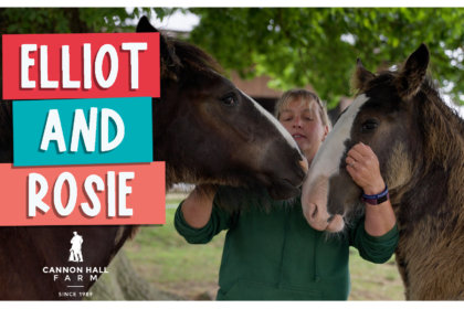 Elliot and Rosie